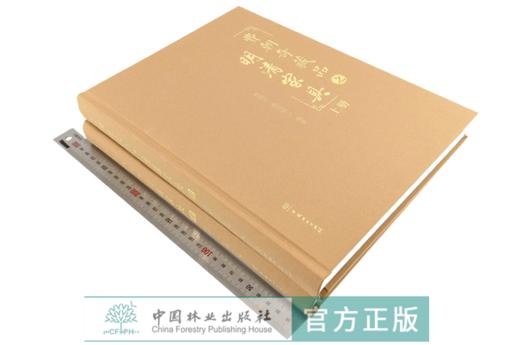 费朝奇藏品之明清家具 上下册 0072 费朝奇费晓璐 椅凳类桌案几类床榻类柜架类中堂牌匾类其他 明清家具鉴赏收藏书 中国林业出版社 商品图2
