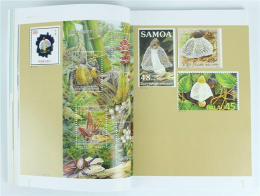 邮话竹子 8885 浙江农林大学森林培育学科建设经费资助 竹林资源 中国林业出版社 畅销书 商品图2