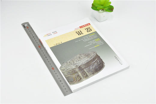 银器 9975 姚江波 行家带你选 断时代 辨真伪 评价值 为收藏 中国林业出版社 正版畅销书 商品图1