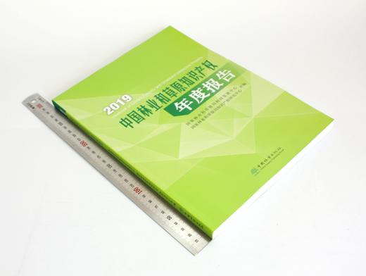 2019中国林业和草原知识产权年度报告 0548 中国林业出版社 商品图1
