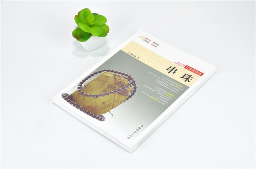 串珠 行家带你选 9884 姚江波 段时代 辨真伪 评价值 为收藏 中国林业出版社 正版畅销书 商品图2