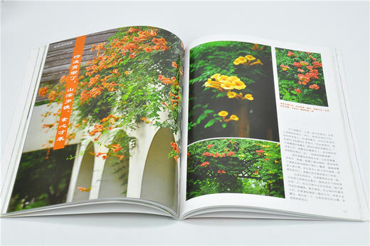 花也9148花园生活精选辑4私家花园庭园设计植物的识别养护香草园艺制作堆肥园艺工具介绍使用干花制作玩转园艺中国林业出版社 商品图3