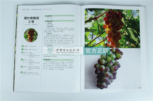 中国果树地方品种图志 中国葡萄地方品种图志 9392 中国林业出版社 畅销书籍 商品图4