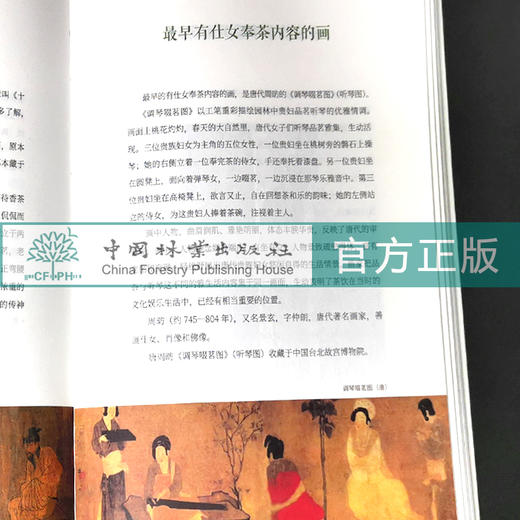 茶之最 中华茶文化经典丛书 学茶的入门一本书 陈伟群  1373 中国林业出版社 商品图4