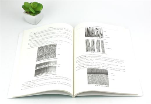 植物学实验 6320  贺晓 燕玲 21世纪全国高校创新型人才培养规划系列教材 中国林业出版社 商品图3