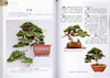 盆景养护手册 全彩版  马文其 5429 一本全面介绍盆景养护知识的工具书 中国林业出版社 畅销书 商品缩略图2