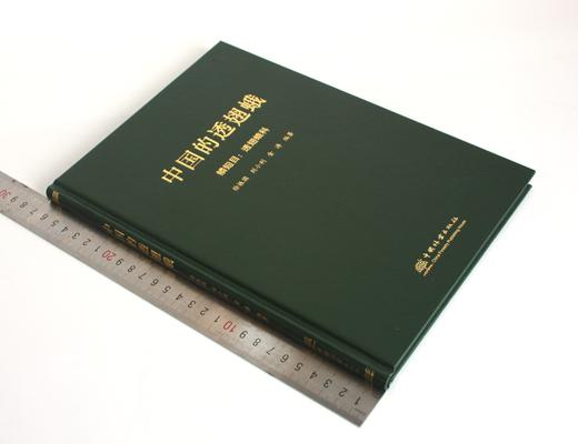 中国的透翅蛾 徐振国 刘小利 金涛编著 0352 鳞翅目：透翅蛾科 中国林业出版社 商品图1