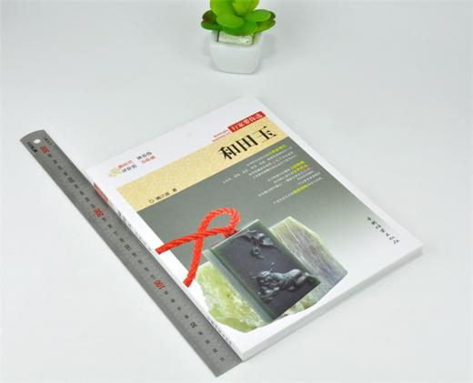 和田玉 行家带你选 9976 姚江波 著 断时代 辨真伪 评价值 为收藏 古物鉴赏书 中国林业出版社 商品图1