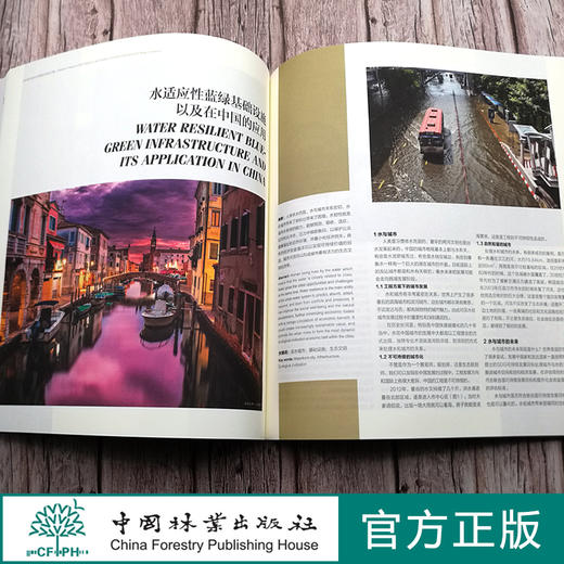 2019衡水湖生态文明国际交流会论文集  赵春斌//王脩珺 0727 中国林业出版社 商品图2