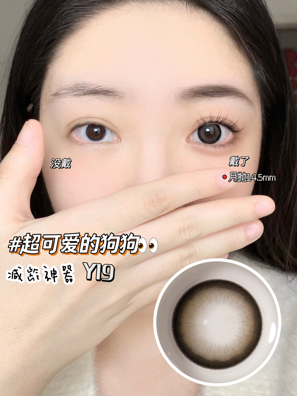 Lillilly Y-19麻薯团 月抛 2片 14.5mm 着色14.0mm 基弧8.6  含水42% 新锐国货