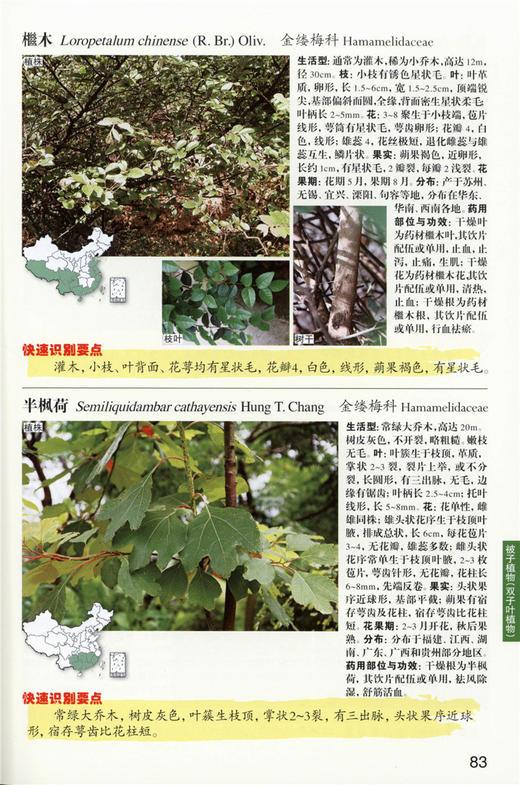常见药用植物快速识别 9318 植物快速识别丛书 中国林业出版社 商品图3