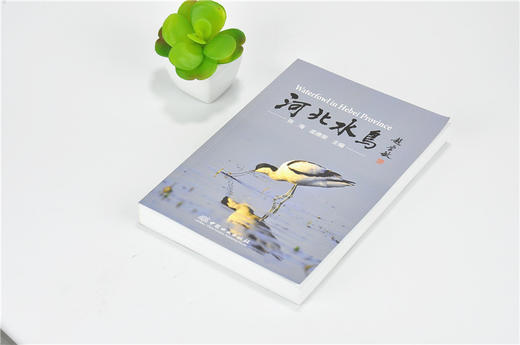河北水鸟 9540 科普读物 中国林业出版社 商品图2