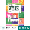 华北野花5244花型花色生存花境习性野草中国林业出版社官方旗舰店正版畅销书 商品缩略图0