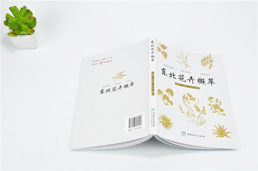 东北花卉撷萃 9699 常见花卉的繁殖栽培 家养花卉技艺 东北野生兰科植物简述 野生花卉 图谱书 草地草坪花境园林配置 野生植物保护 商品图3