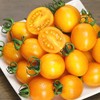 玲珑小番茄（黄）500g/份 商品缩略图2