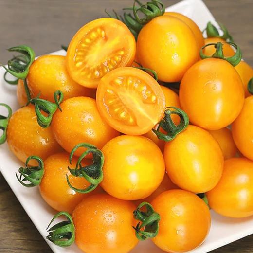 玲珑小番茄（黄）500g/份 商品图2