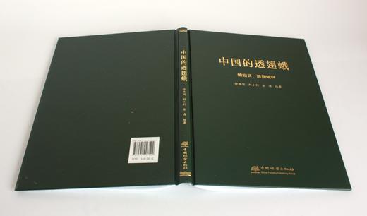 中国的透翅蛾 徐振国 刘小利 金涛编著 0352 鳞翅目：透翅蛾科 中国林业出版社 商品图4