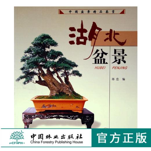 湖北盆景 中国盆景精品鉴赏 邵忠 3766 盆景艺术 中国林业出版社 商品图0