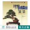 浙江盆景 中国盆景精品鉴赏 邵忠 3764 盆景艺术 中国林业出版社 商品缩略图0