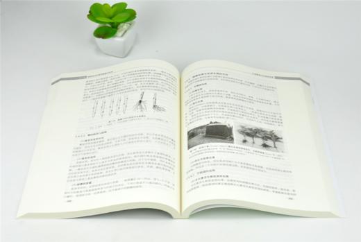 园林苗圃学 第2版 成仿云主编 0198 普通高等教育十三五规划教材 高等院校园林与风景园林专*规划教材 中国林业出版社 商品图3