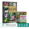 套装 花卉宝典+园林花卉识别彩色图册 2本一套 8746/7106 形态习性繁殖病虫害管护应用产地分布花卉基础知识书 中国林业出版社 商品缩略图0