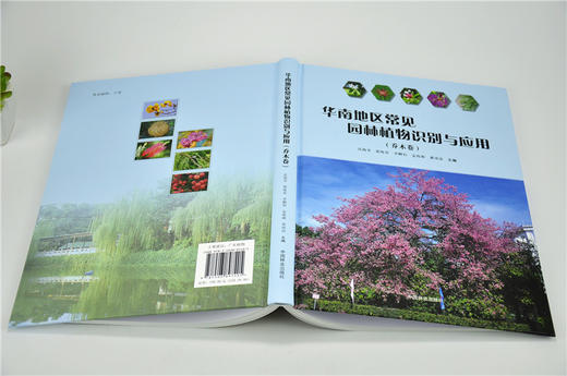 华南地区常见园林植物识别与应用 乔木卷 9740 沈海岑 中国林业出版社 畅销书 商品图4