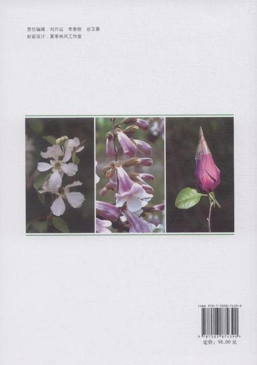 中国北方常见树木快速识别   7439 张志翔，张钢民，赵良成 中国林业出版社 商品图2