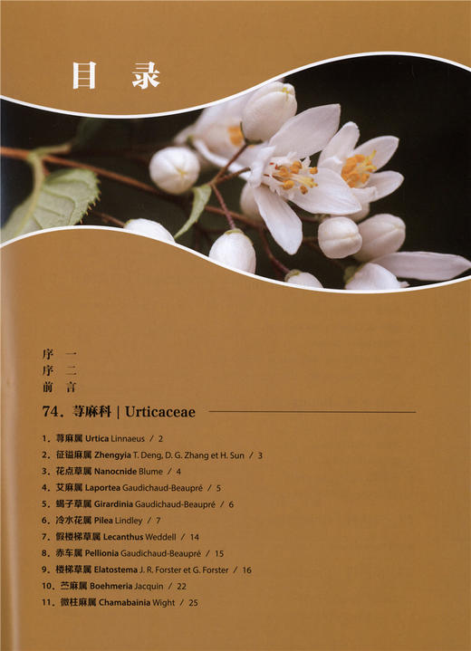 神农架植物志第三卷9460湖北神农架植物资源多样性生态分布分类种类品种大全研究书籍中国林业出版社官方旗舰店正版畅销书 商品图1