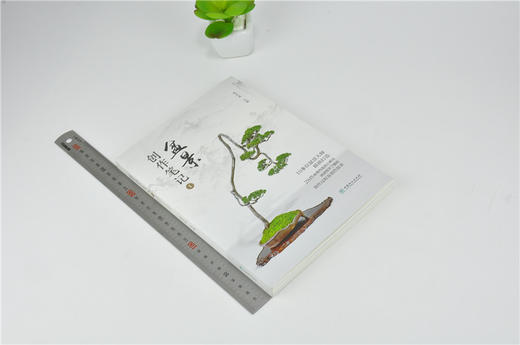 盆景创作笔记1 赵庆泉 0209 盆景大师联袂打造 28件优秀作品精心解读 盆景艺术作品欣赏 中国林业出版社 畅销书 商品图1
