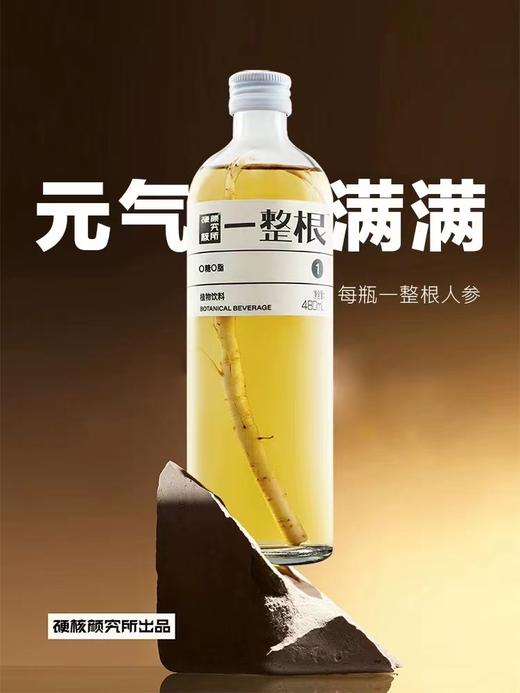 硬核研究所-一整根熬夜水人参水480ml 商品图0