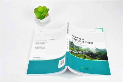 云南省城镇绿色发展模式研究 9919 绿色经济与绿色发展经典系列丛书 中国林业出版社 正版畅销书 商品图4
