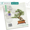 苏州盆景 4034 邵忠编 盆景造型特点和艺术手法 苏州树桩盆景制作 苏州盆景赏析 盆景艺术 中国林业出版社 盆景书籍 商品缩略图3