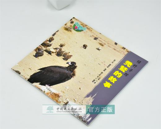秃鹫的故事 绿野仙踪 0261 马鸣 著 鹫的起源 特点 行为 繁衍后代 迁徒 保护 少儿科普读物 中国林业出版社 畅销书 商品图2
