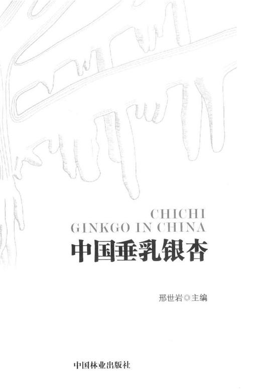 中国垂乳银杏 中国林业出版社7639  科技 商品图1