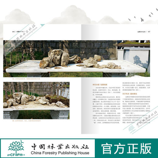 正版 盆景4本 绘图盆景造型2000例 6674 +树桩盆景实用技艺手册7372+盆景创作笔记1 书号0209+金弹子树桩盆景 9232   玩转盆景类书 商品图4