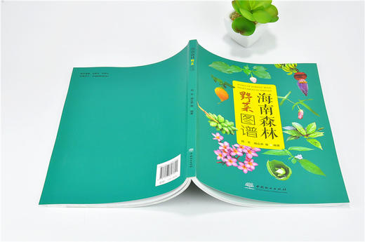 海南森林野菜图谱 9780  拉丁学名 别名 分布 采摘时间 形态特征 药用价值 营养价值食用部位 食用方法 中国林业出版社 商品图4