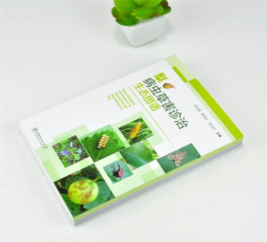 梨病虫草害诊治生态图谱 0238 冯玉增 陈宏义 徐玉杰 梨病害虫害诊断与防治 果园主要杂草识别与防治 果园工具书 中国林业出版社 商品图2