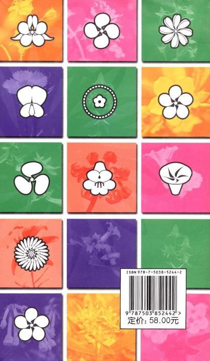 华北野花5244花型花色生存花境习性野草中国林业出版社官方旗舰店正版畅销书 商品图3