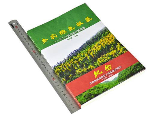 劣实绿色根基 2017天保记者行报道集 李树铭 9544 纪念天然林资源保护工程实施20周年1998-2018 中国林业出版社官方旗舰店  畅销书 商品图1