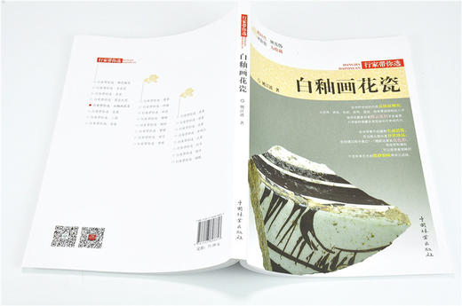 白釉画花瓷 9885 姚江波 行家带你选 断时代 辨真伪 评价值 为收藏 中国林业出版社 正版畅销书 商品图3