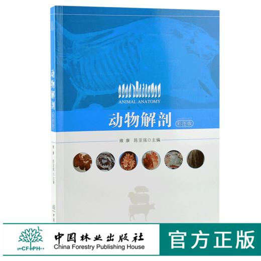 动物解剖 彩图版 9991 雍康 陈亚强 解剖运动被皮消化呼吸泌尿生殖心血管免疫神经感觉器官内分泌系统家禽 中国林业出版社畅销书籍 商品图0