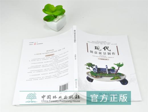 现代创意盆景制作 0285 马伯钦 著 一种与众不同的盆景 微型盆景制作方法 现代创意盆景百景随笔例图 盆景艺术书 中国林业出版社 商品图4