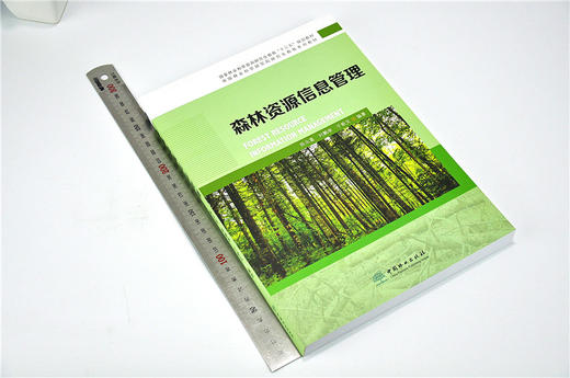 森林资源信息管理 8882 陈永富 刘鹏举 于新文 编著 研究生教育十三五规划教材 中国林业科学研究生教育系列教材 中国林业出版社 商品图1