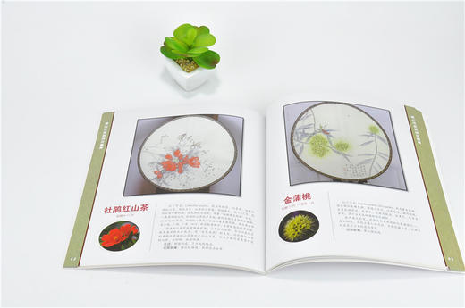 佛山市名家绘花图集 9670 佛山市建设国*森林城市系列丛书 中国林业出版社 正版畅销书 商品图3