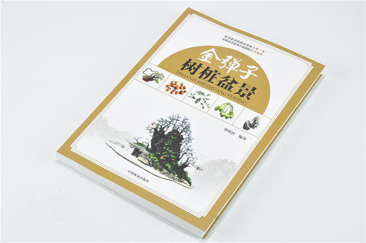 正版包邮金弹子树桩盆景 曹明君 9232 全面论述金弹子的实力著作理论创作栽培育桩根育技术 盆景书籍 中国林业出版社 商品图2