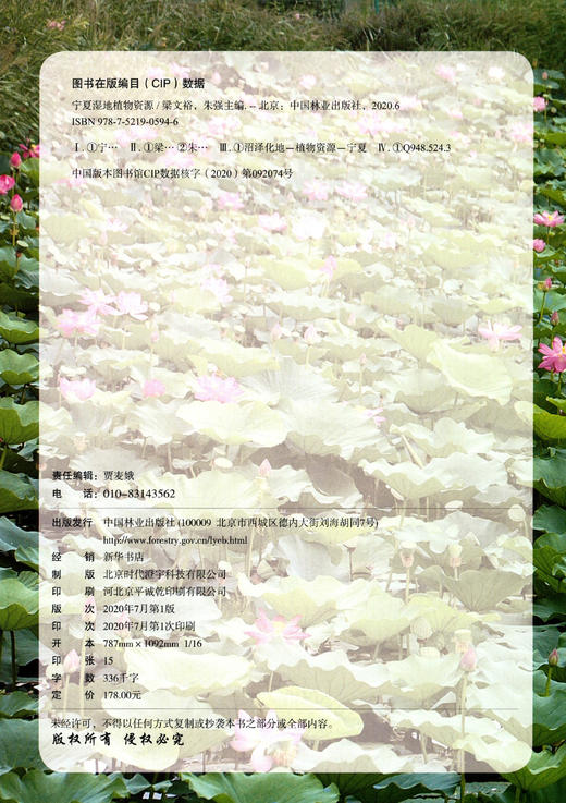宁夏湿地植物资源 梁文裕 宁夏湿地植物多样性研究书  梁文裕//朱强 0594 中国林业出版社 商品图1