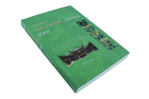 中国古建全集 城市公共建筑 简装版 9221 唐艺文化 书院 鼓楼 钟楼 古镇 老街 建筑设计赏析 中国林业出版社 畅销书 商品图1