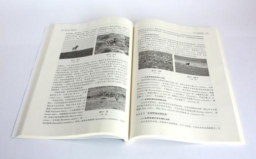 荒漠生态学 卢琦 贾晓红主编 0345 国家林业和草原局研究生教育十三五规划教材 中国林业出版社 商品图3