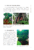 中国榕树文化 林焰 何增明 福州于山寿岩榕乌山奇榕净慈庵骑墙榕福建杨 0762 中国林业出版社 商品缩略图2