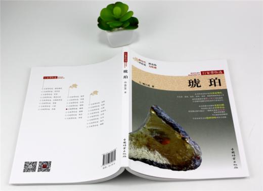 琥珀 行家带你选 9980 姚江波 段时代 辨真伪 评价值 为收藏 中国林业出版社 正版畅销书 商品图4